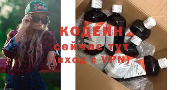 хмурый Алексин