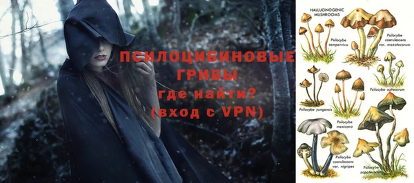 2c-b Алексеевка