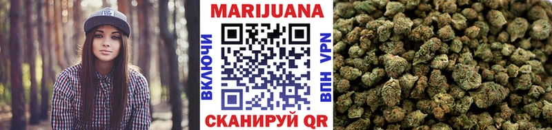Купить закладки  Бологое  Каннабис сатива 